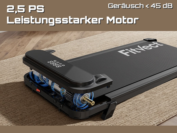 Fitvect Laufband Walkingmatte C1